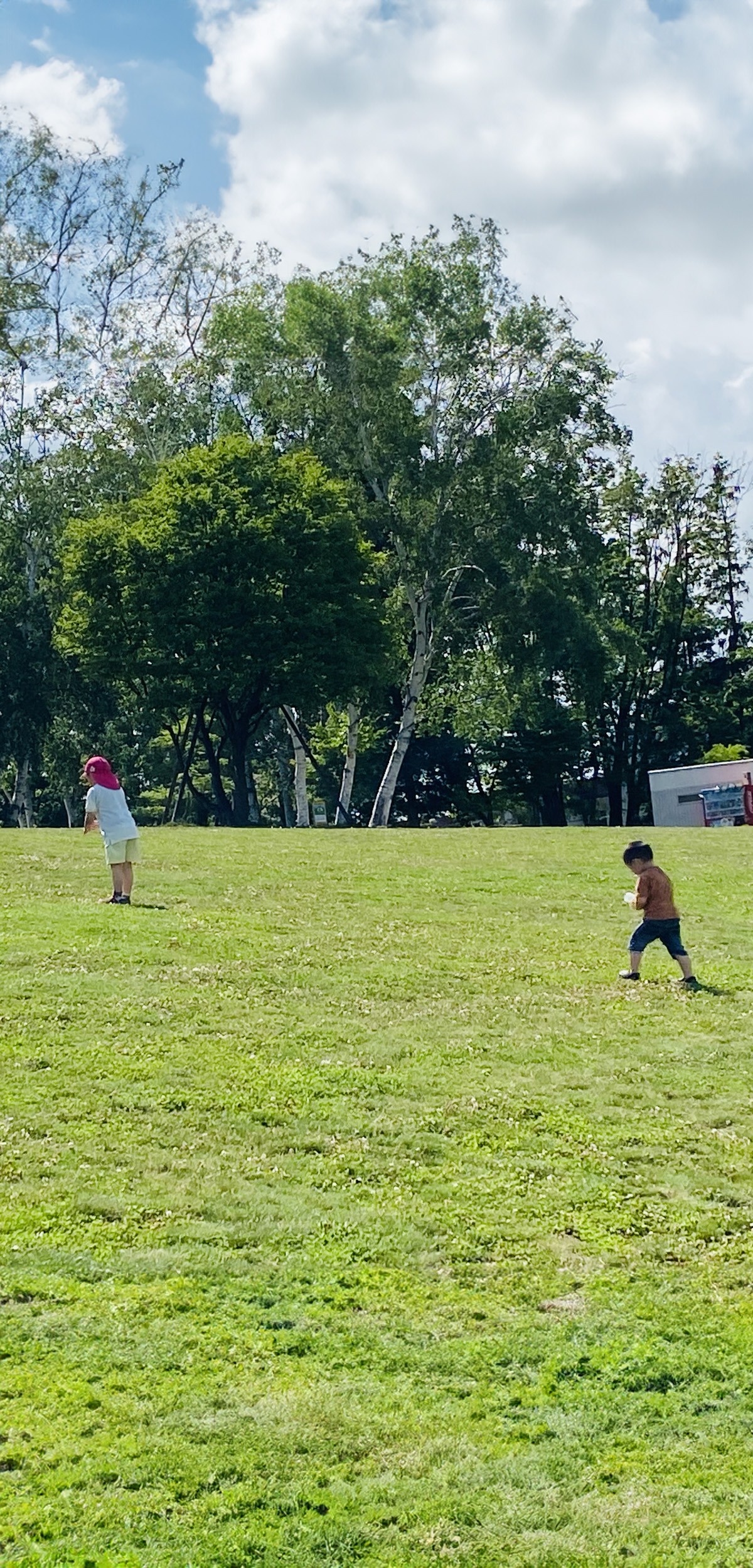 草原の写真スマホ版